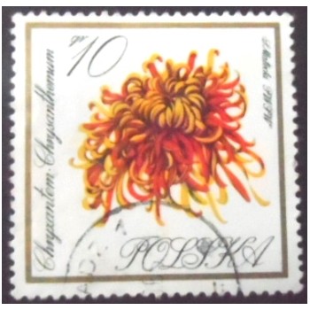 Selo postal da Polônia de 1966 Chrysanthemum U