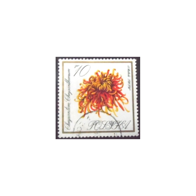 Selo postal da Polônia de 1966 Chrysanthemum U