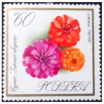 Selo postal da Polônia de 1966 Zinnias N