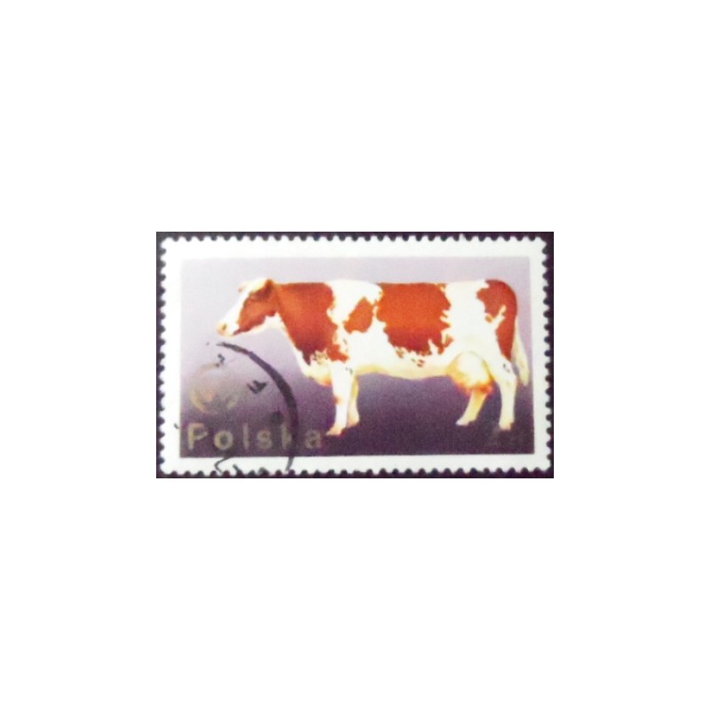 Selo postal da Polônia de 1975 Cow