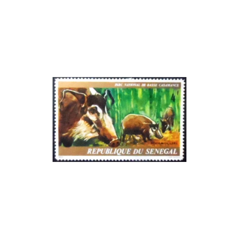 Imagem do selo postal do Senegal de 1976 Red River Hog anunciado