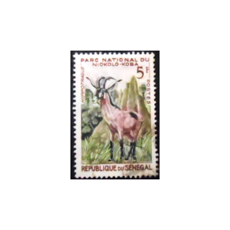 Imagem do selo postal do Senegal de 1960 Roan Antelope anunciado