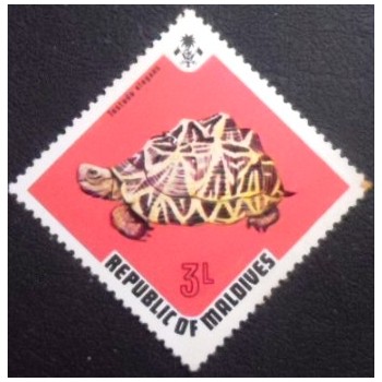 Imagem do selo postal das Maldivas de 1973 Indian Star Tortoise anunciado