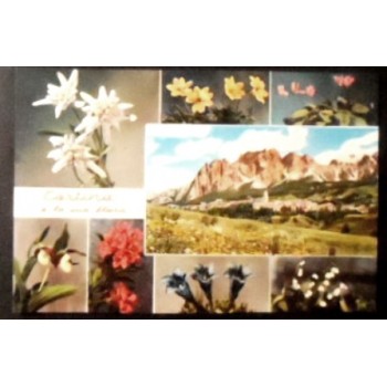 Imagem do cartão postal da Itália Cortina e la sua flora anunciado