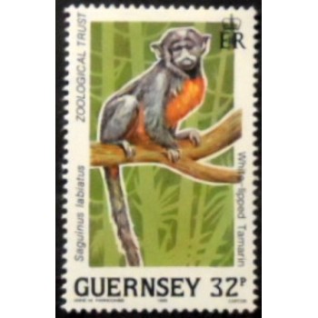 Imagem do selo postal de Guernsey de 1989 White-lipped Tamarin anunciado