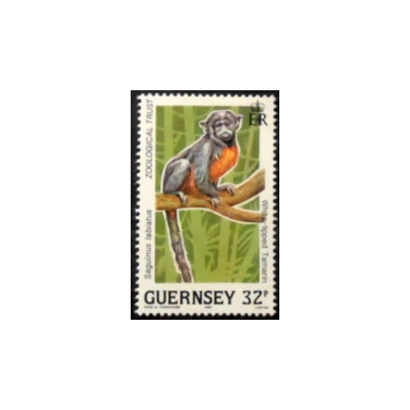 Imagem do selo postal de Guernsey de 1989 White-lipped Tamarin anunciado