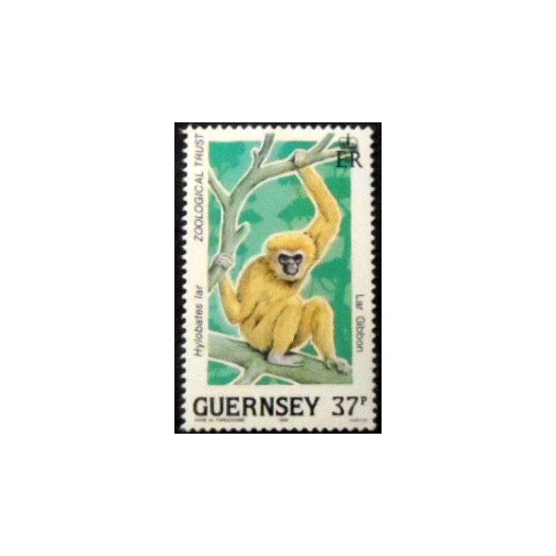Imagem do selo postal de Guernsey de 1989 Lar Gibbon anunciado