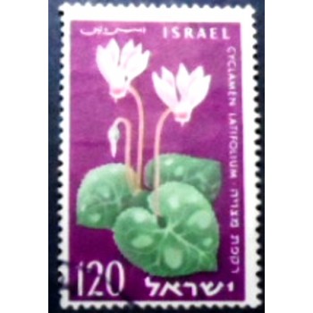 Imagem do selo postal de Israel de 1959 Cyclamen anunciado