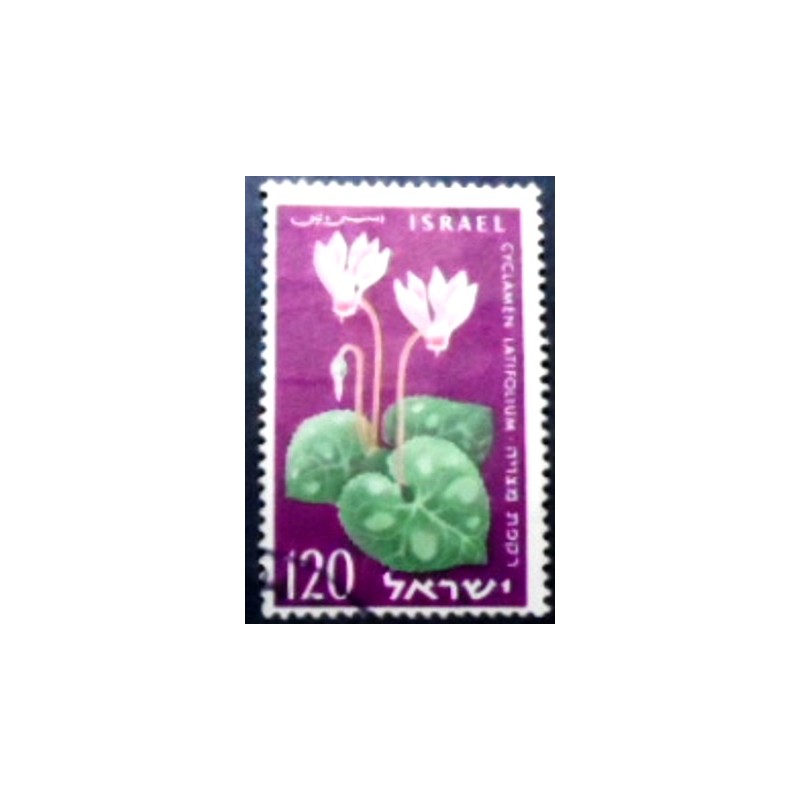 Imagem do selo postal de Israel de 1959 Cyclamen anunciado