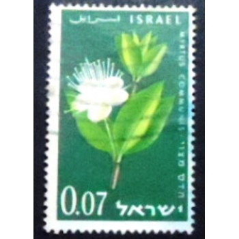 Imagem do selo postal de Israel de 1961 Myrtle  anunciado