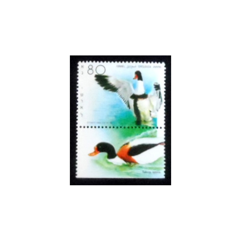 Imagem do selo postal de Israel de 1989 Shelduck anunciado