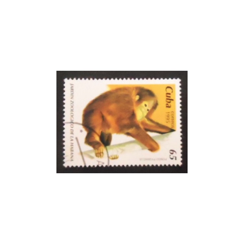 Selo postal de Cuba de 1995 Bornean Orangutan anunciado