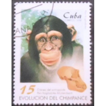 Selo postal de Cuba de 1998 Chimpanzee and Cranium anunciado