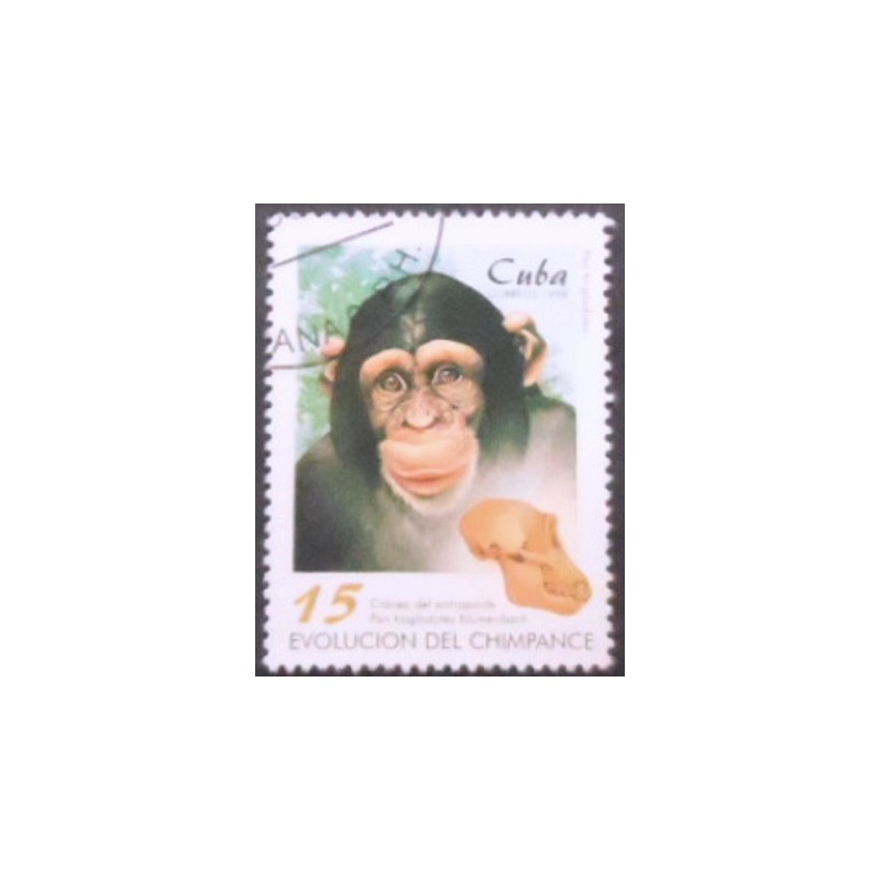 Selo postal de Cuba de 1998 Chimpanzee and Cranium anunciado