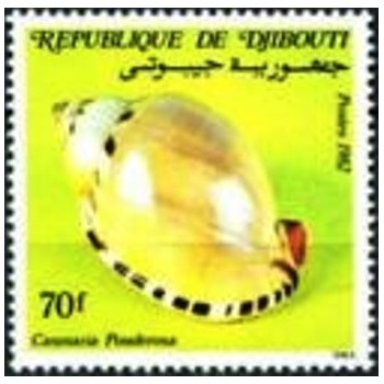 Selo postal do Djibouti de 1982 - Burnt Cowry