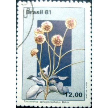 Imagem similar à do selo postal do Brasil de 1981 Eremanthus U