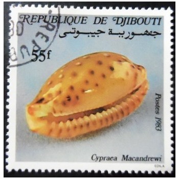 Selo postal de Djibouti de 1983 MacAndrew's Cowry