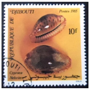 Selo postal de Djibouti de 1985 False Margined Cowry