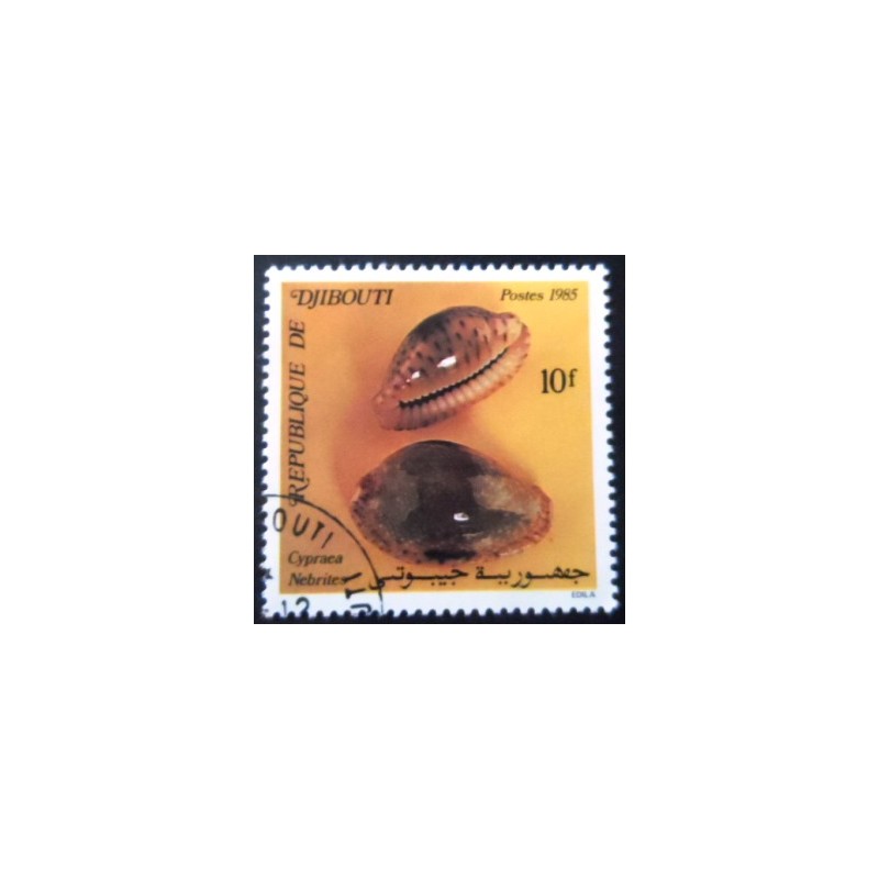 Selo postal de Djibouti de 1985 False Margined Cowry