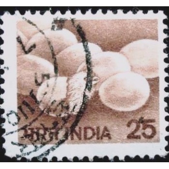 Imagem similar à do selo postal da Índia de 1979 Hatching Eggs U