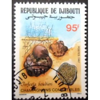 Selo postal de Djibouti de 1987 Terfezia boudieri