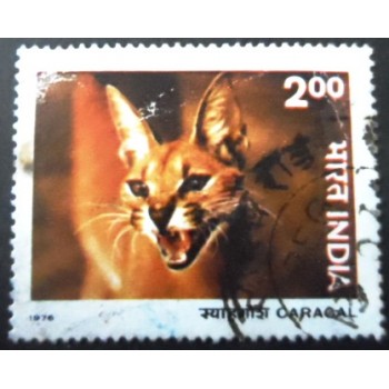 Selo postal da Índia de 1976 Caracal