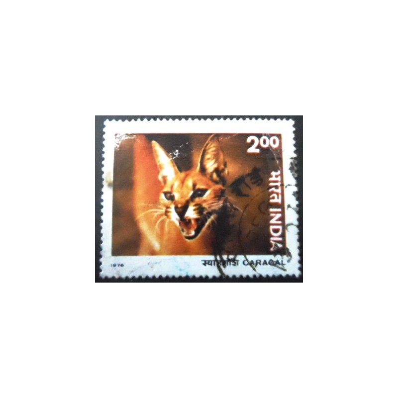 Selo postal da Índia de 1976 Caracal