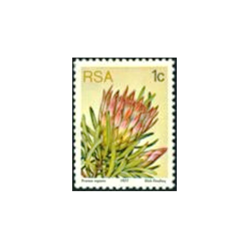 Selo postal da África do Sul de 1977 Protea repens M