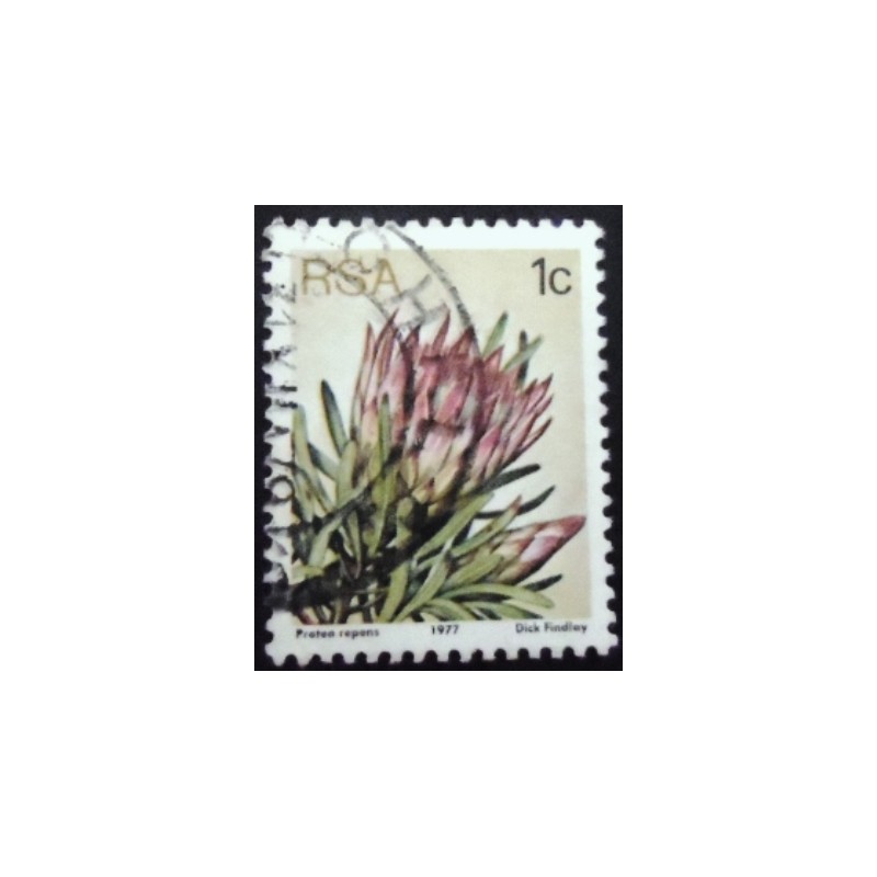 Selo postal da África do Sul de 1977 Protea repens U