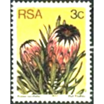 Selo postal da África do Sul de 1977 Oleanderleaf protea M