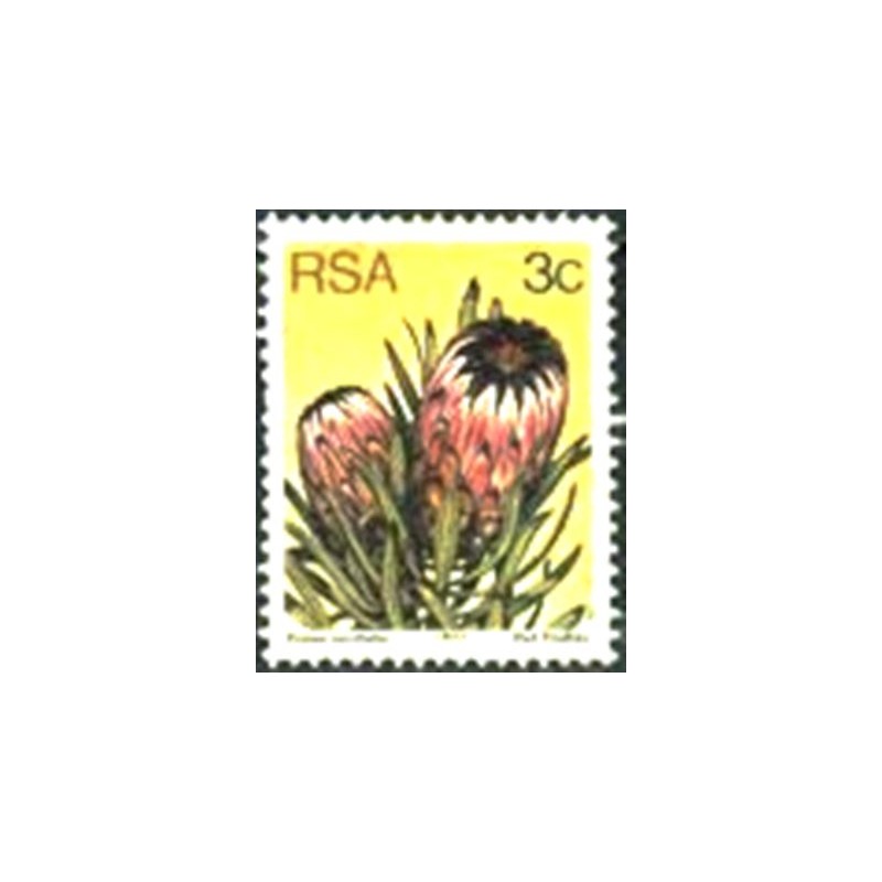 Selo postal da África do Sul de 1977 Oleanderleaf protea M