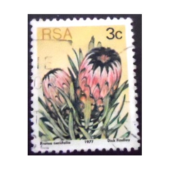 Imagem similar à do selo postal da África do Sul de 1977 Oleanderleaf protea 3 U