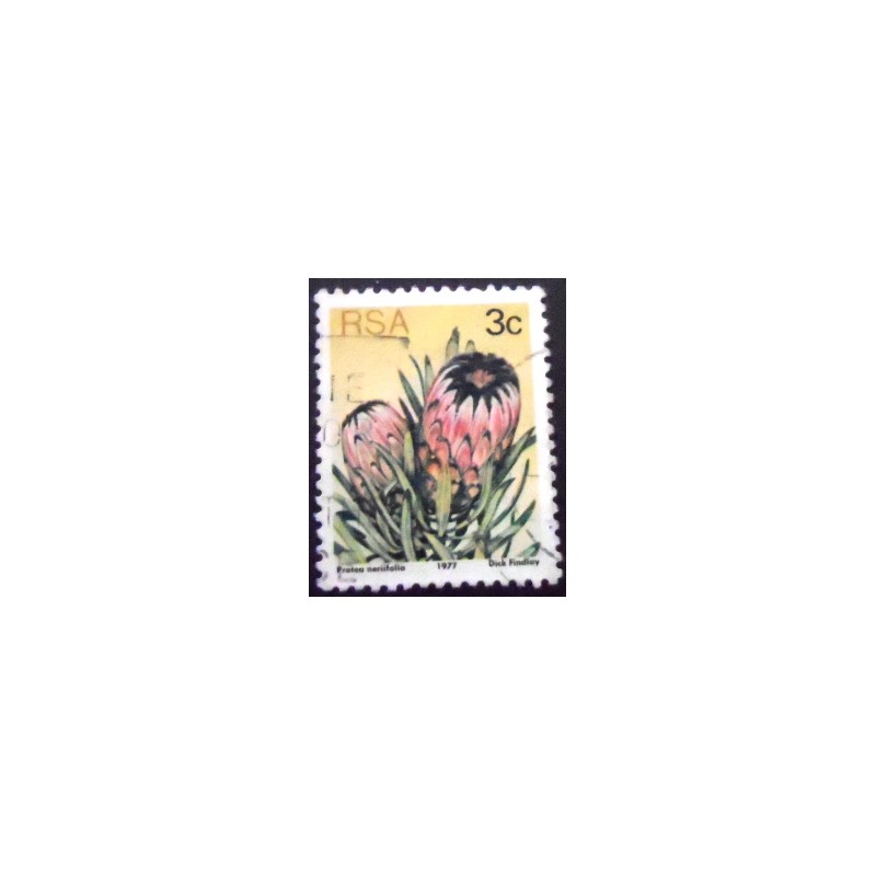 Imagem similar à do selo postal da África do Sul de 1977 Oleanderleaf protea 3 U