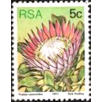 Selo postal da África do Sul de 1977 King Protea M