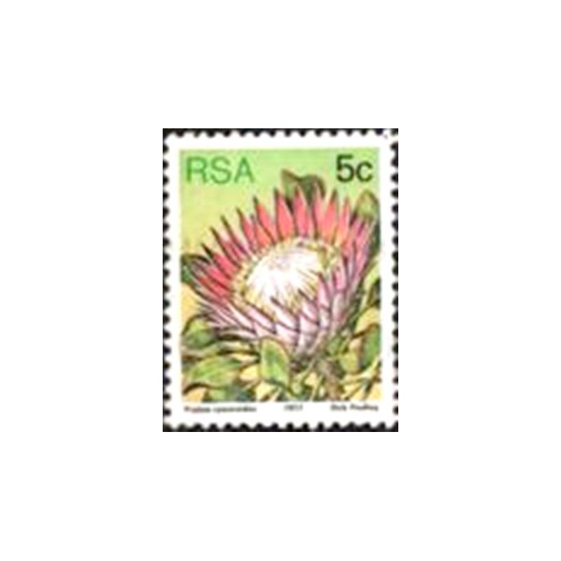 Selo postal da África do Sul de 1977 King Protea M