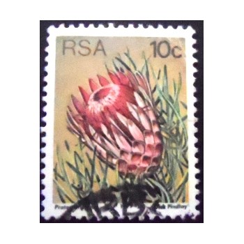 Imagem similar à do selo postal da África do Sul de 1977 Ladismith Sugarbush U