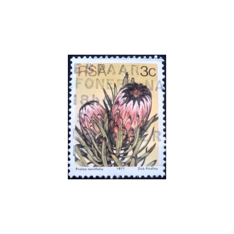 Selo postal da África do Sul de 1979 Oleanderleaf Protea