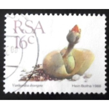 Selo postal da África do Sul de 1988 Vanheerdea divergens