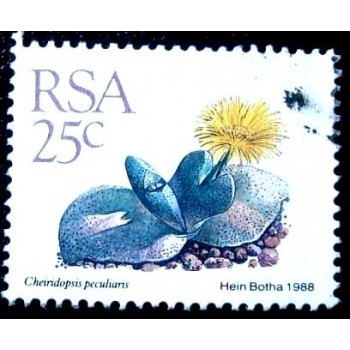 Selo postal da África do Sul de 1988 Cheiridopsis peculiaris