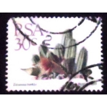 Selo postal da África do Sul de 1988 Tavaresia barklyi U