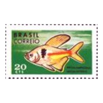 Selo postal do Brasil de 1969 Megalamphodus Megalopterus M