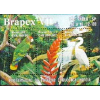 Bloco postal do Brasil de 1988 BRAPEX VII M