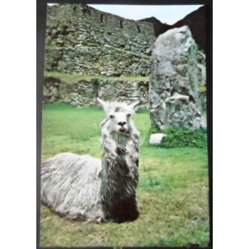 Cartão postal do Peru de 1977 Machu Picchu