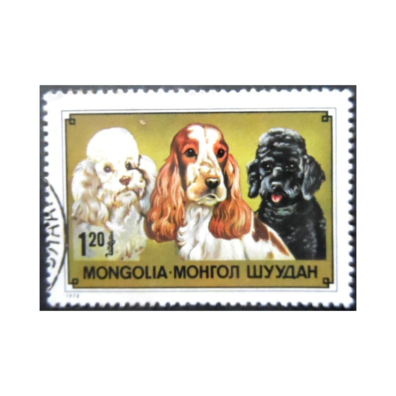 Selo postal da Mongólia de 1978 Cocker Spaniel and Poodle