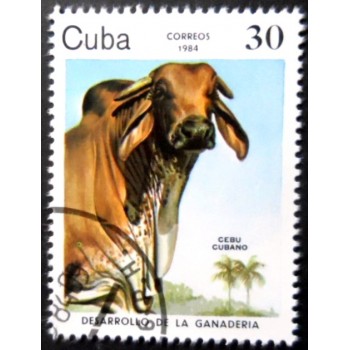 Selo postal de Cuba de 1984 Cuban Zebu NCC