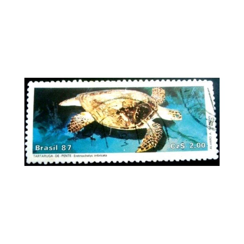 Imagem similar ´à do selo postal do Brasil de 1987 Tartaruga-de-Pente U