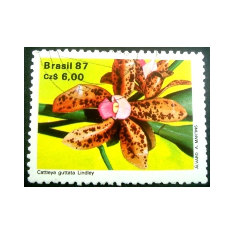 Imagem similar à do selo postal de 1987 Cattleya guttata  U