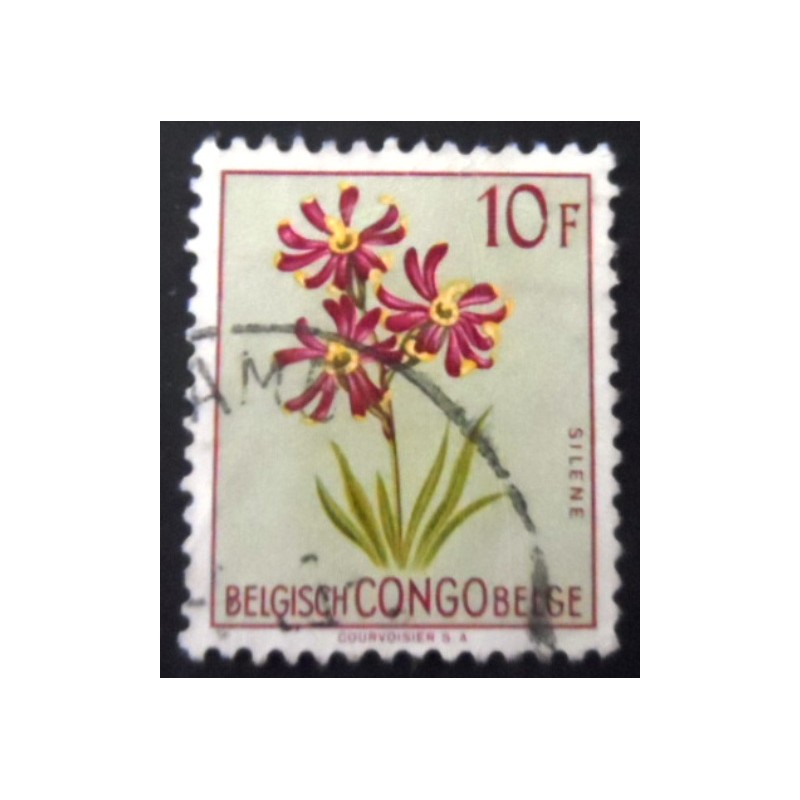 Imagem similar à do selo postal do Congo Belga de 1952 Silene burchellii