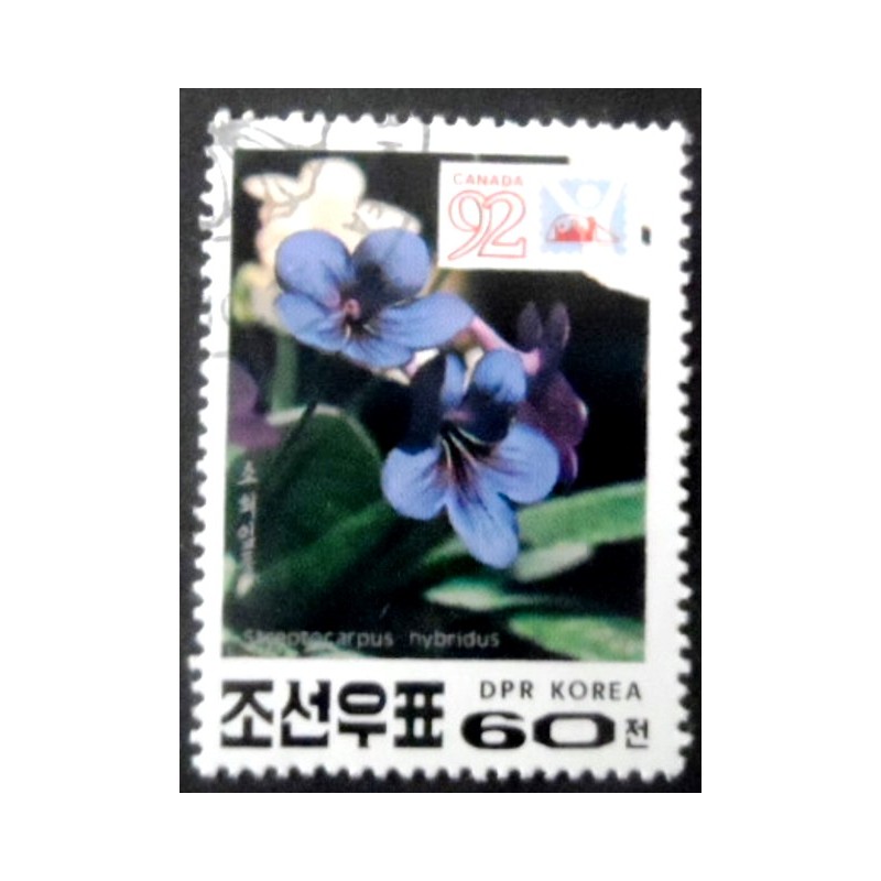 Selo postal da Coréia do Norte de 1991 Streptocarpus hybridus