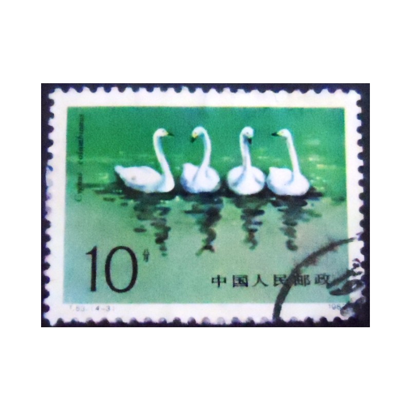 Imagem do selo postal da China de 1983 Tundra Swan